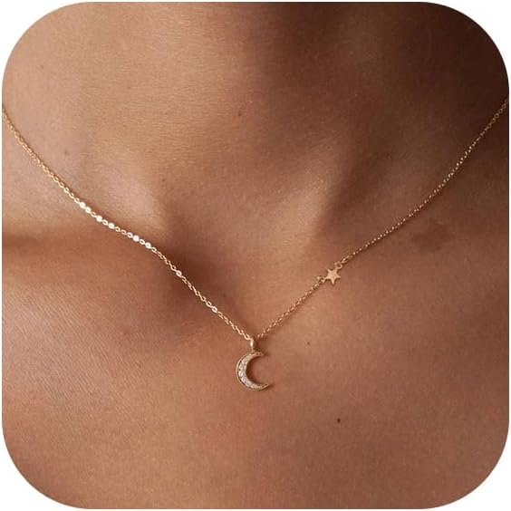 HANLI 14K Gold Plated Necklaces for Women - Dainty Butterfly, Star of David, Moon and Star, Sun, Lotus, Infinity, Hummingbird, Bee Pendant Designs - Elegant Jewelry for Women