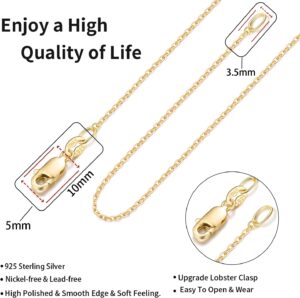 71pL3EdYlCL._AC_SL1500_.jpg